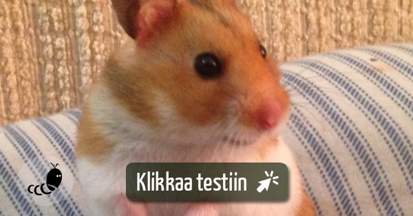 Testaa Mit Tied t Jyrsij ist Testimato