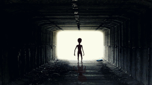q