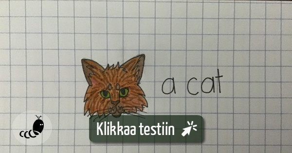 Testaa - How to draw a cat step by step, eli miten piirtää kissa vaihe  vaiheelta | Testimato