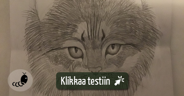 testaa-esittelen-mun-piirrustuksia-testimato