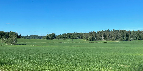 opening