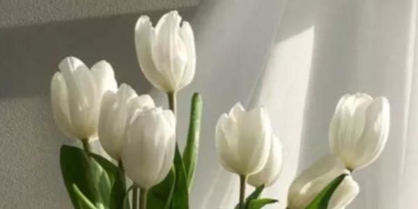 opening