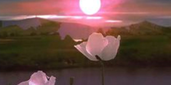 opening