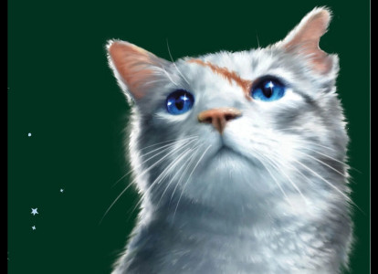 q