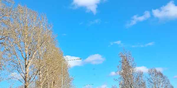 opening