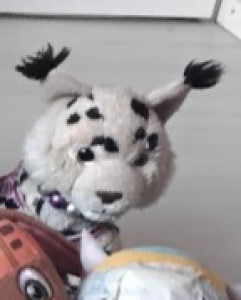q