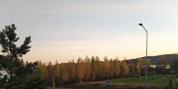 opening