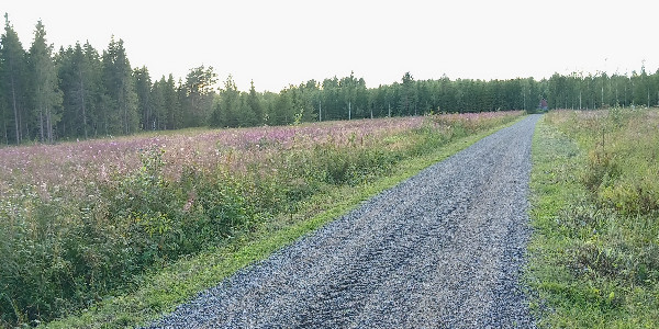 opening