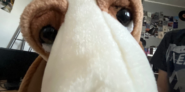 q