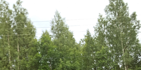 opening