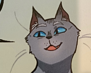 q