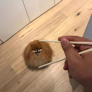 q