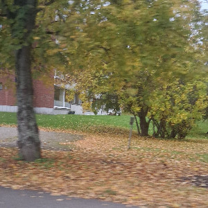 ☆🍂🤎_Pörrökarva_🤎🍂☆