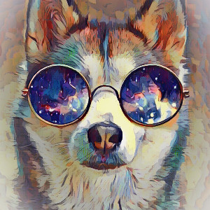 🐴hopeasusi🐺